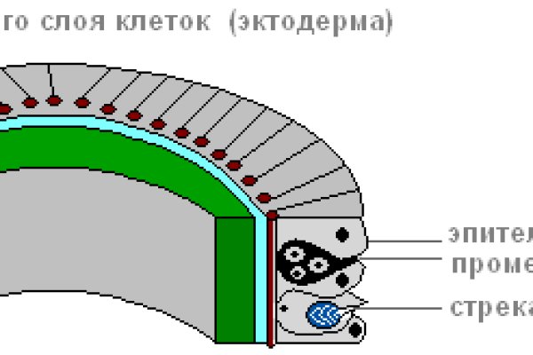 Кракен маркетплейс krk store com