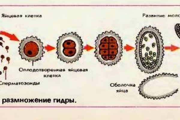 Кракен это современный даркнет