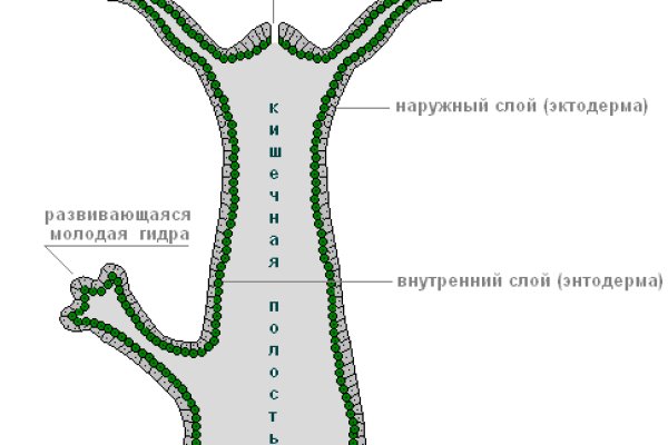 Гидра альтернатива